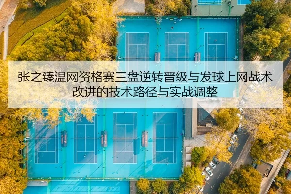 zhang-zhi-zhen-wen-wang-zi-ge-sai-san-pan-ni-zhuan-jin-ji-yu-fa-qiu-shang-wang-zhan-shu-gai-jin-de-ji-shu-lu-jing-yu-2-714.jpg
